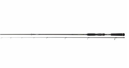 Spinings DAIWA MegaForce Sensitip | 2.40 m | 4-21 gr.