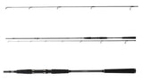 Ritvane DAIWA Seahunter X Seatrout 3.10m 10-40g lõheritv