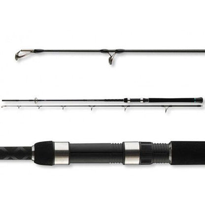 Spinings Daiwa Powermesh Catfish | 2.15 m | 160 g