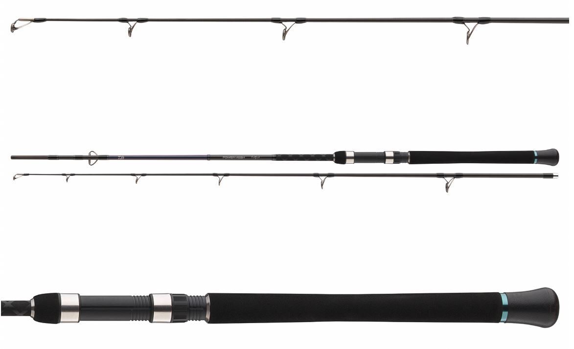 Spinings Daiwa Powermesh Catfish | 2.15 m | 160 g