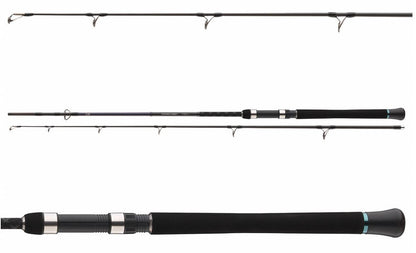 Spinings Daiwa Powermesh Catfish | 2.15 m | 160 g