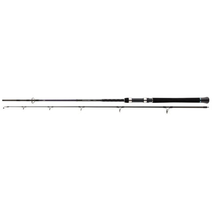 Spinings Daiwa Powermesh Catfish | 2.15 m | 160 g