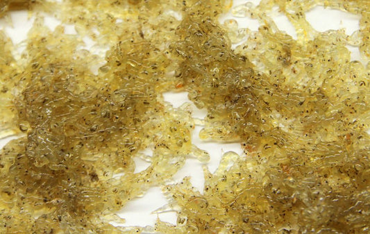 Odu kāpuri (karetra)