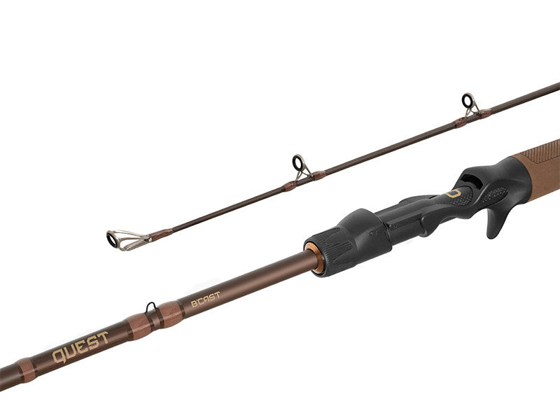 Ritv Delphin QUEST B´CAST