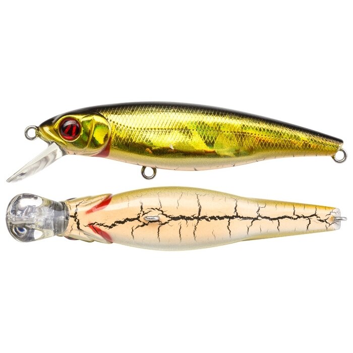 Vobleris Pontoon21 GreedyGuts 77F-SR