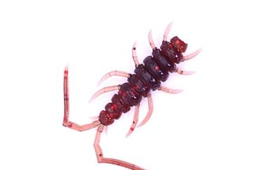 Silikoonist landid Perchik Stalker 1.6"