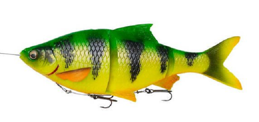 Silikoonist lant Savage Gear 4D Line Thru Roach 25cm 216g Uppuv