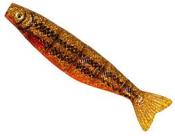 Silikoonist lant Fox Rage Pro Shad Jointed 18 cm