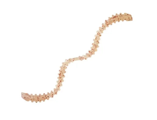 Silikona mānekļi Magbite Aminomushi 3"