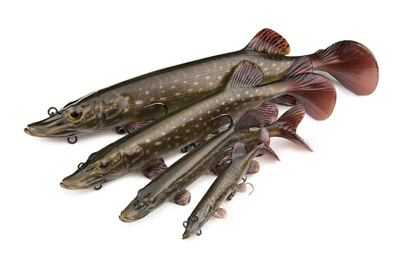 Silikoonlant Fox Rage Ultra-Realistic Pike Replicant