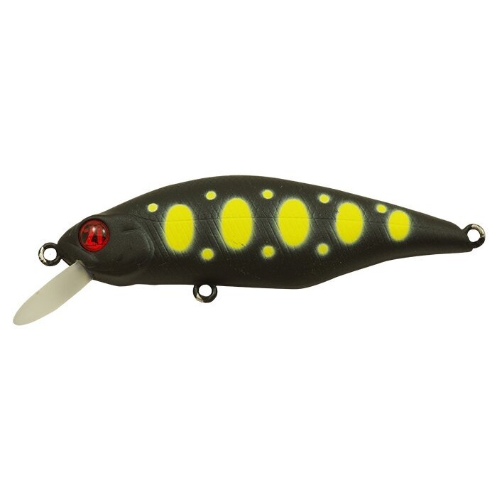 Pontoon21 Chaos 72F SR