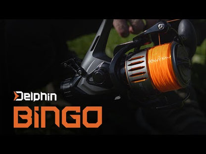 Karpirull Delphin BINGO