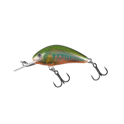 Vobler Salmo HORNET 4F