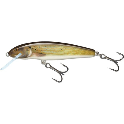 Vobler Salmo Minnow 7F