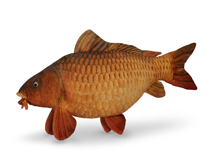 Padi Delphin CARPY Plush Carp