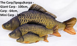 karpkala padi keskmine 64cm / karpkala padi keskmine 64cm