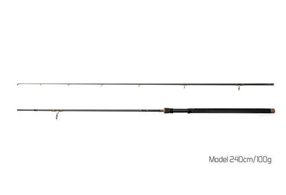 Spinings Delphin MURENA 240cm/100g
