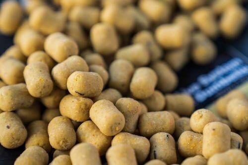 Boyle'i CCmoore Live System hantlid