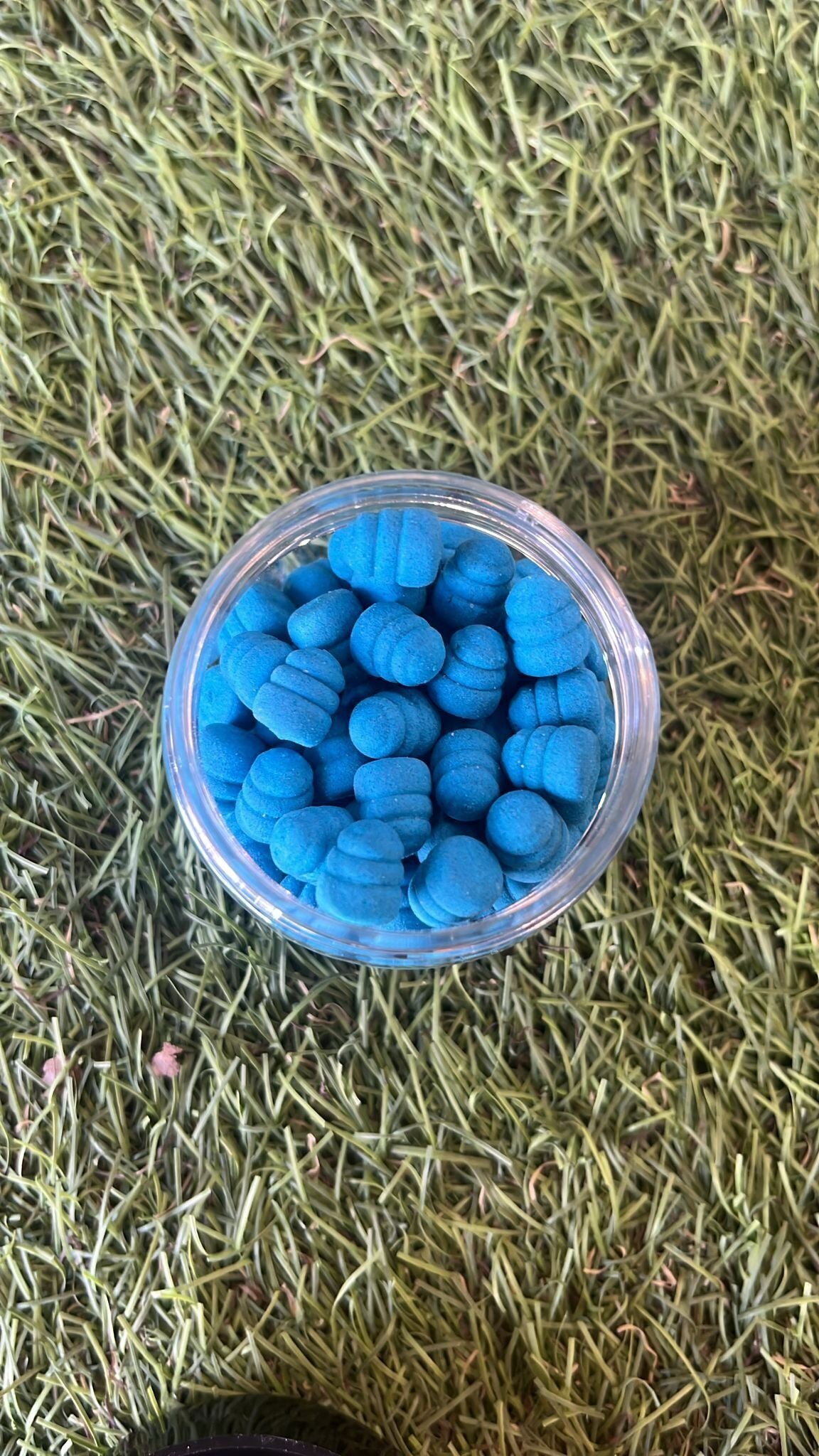 Pasaules čempionu boilas BoilieLab BoilasLV PopUp Gliemezītis / Shell  zils