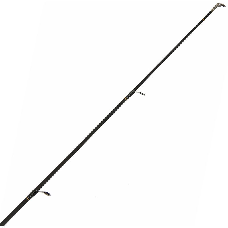 Spinning AP Strike Master | 6 jalga/1,8 m | 10-30 gr