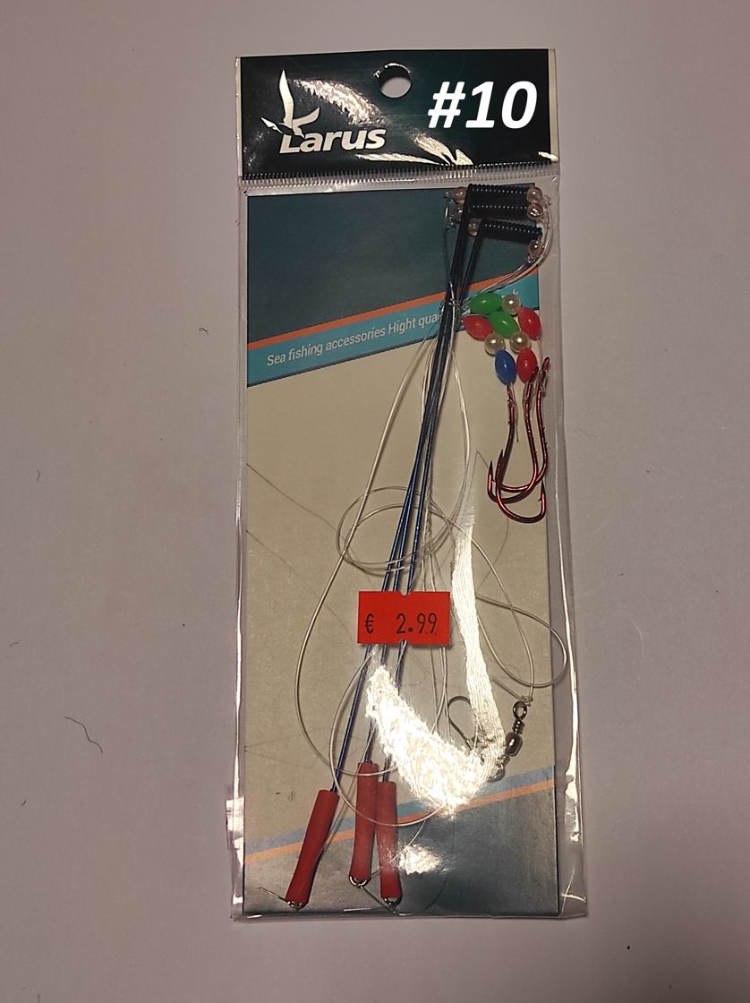 Larus lestaliste rigasüsteem