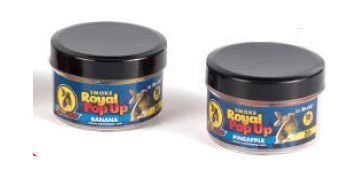 Pop Up EXC ROYAL Smoke