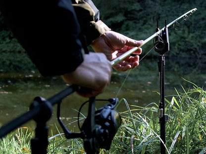 Rull Delphin AMOX 5T DP 