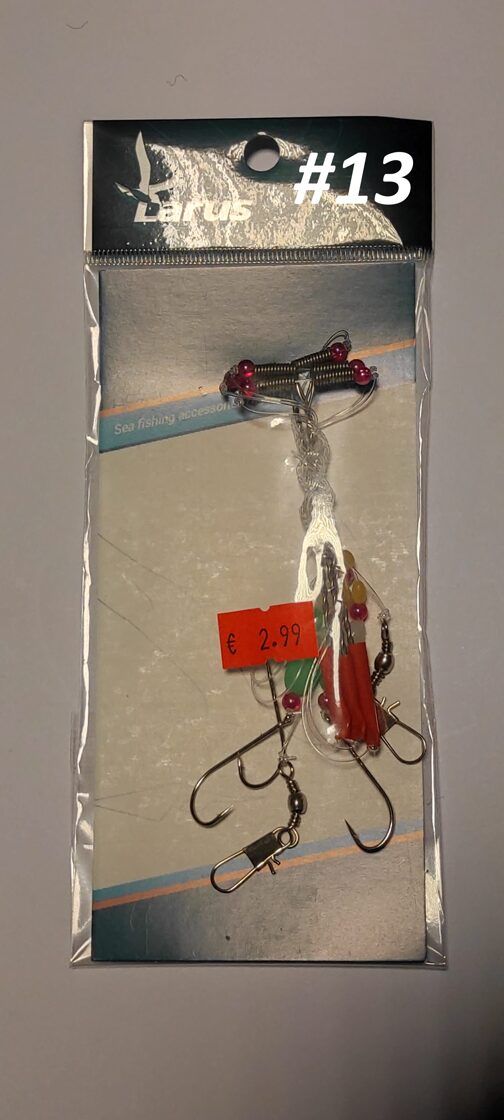 Larus lestaliste rigasüsteem