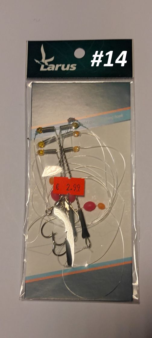 Larus lestaliste rigasüsteem