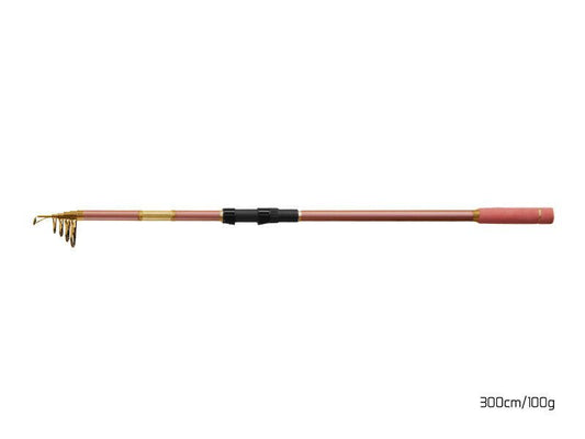 Teleskopiskā makšķere Delphin QUEEN Tele 300cm , 100g