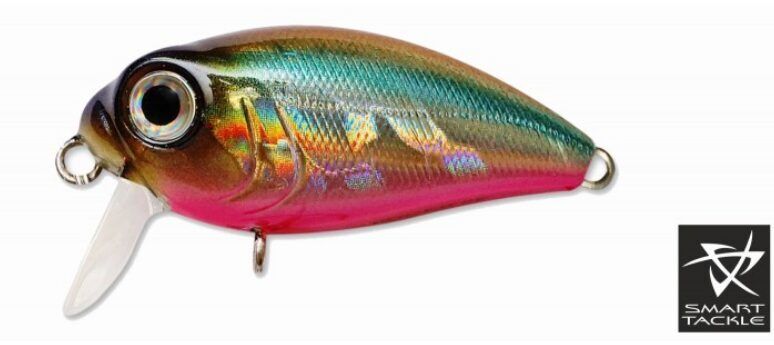 Voobler KOSADAKA «Roger SURF» 36F