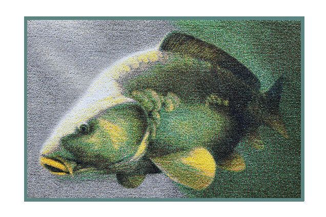 Paklājs Delphin 3D carp rug