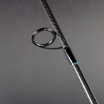 Spinings Sportex Black Arrow G-4 Musky 250cm / 200-290gr