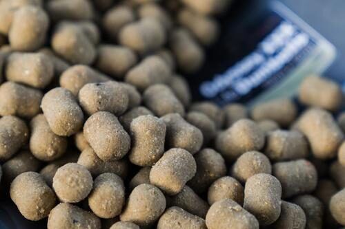 Boilas CCmoore Odyssey hantlid XXX 1kg