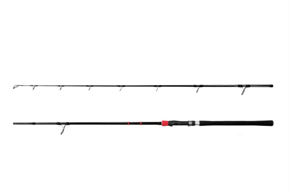 Spinninguõng Delphin RIVERA NX 260cm/150g