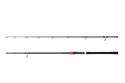 Spinninguõng Delphin RIVERA NX 260cm/150g