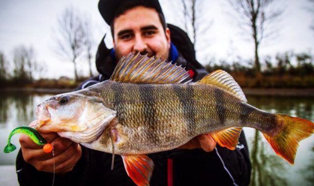 Monkey Lures King Lui 12,5 cm, kummist landid - 4 tk