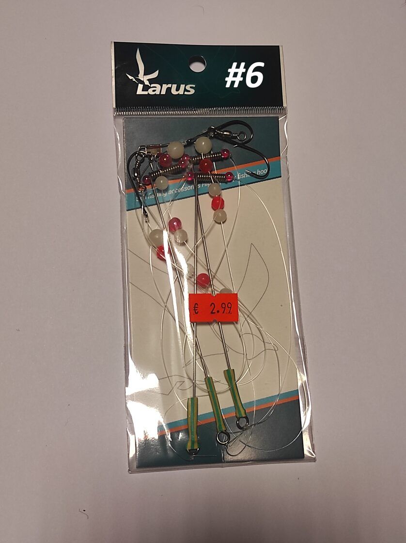 Larus lestaliste rigasüsteem