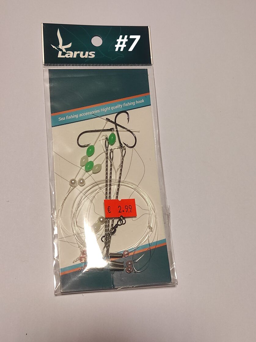 Larus lestaliste rigasüsteem