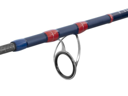 Jūras spinings Delphin FYORD BigBOAT 200cm / 300-400g