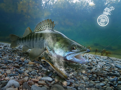 Ahvatlev Delphin STINX SPRAY/30ml - läbipaistev 