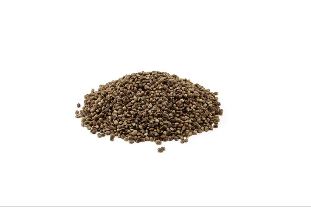 Kuivkanep