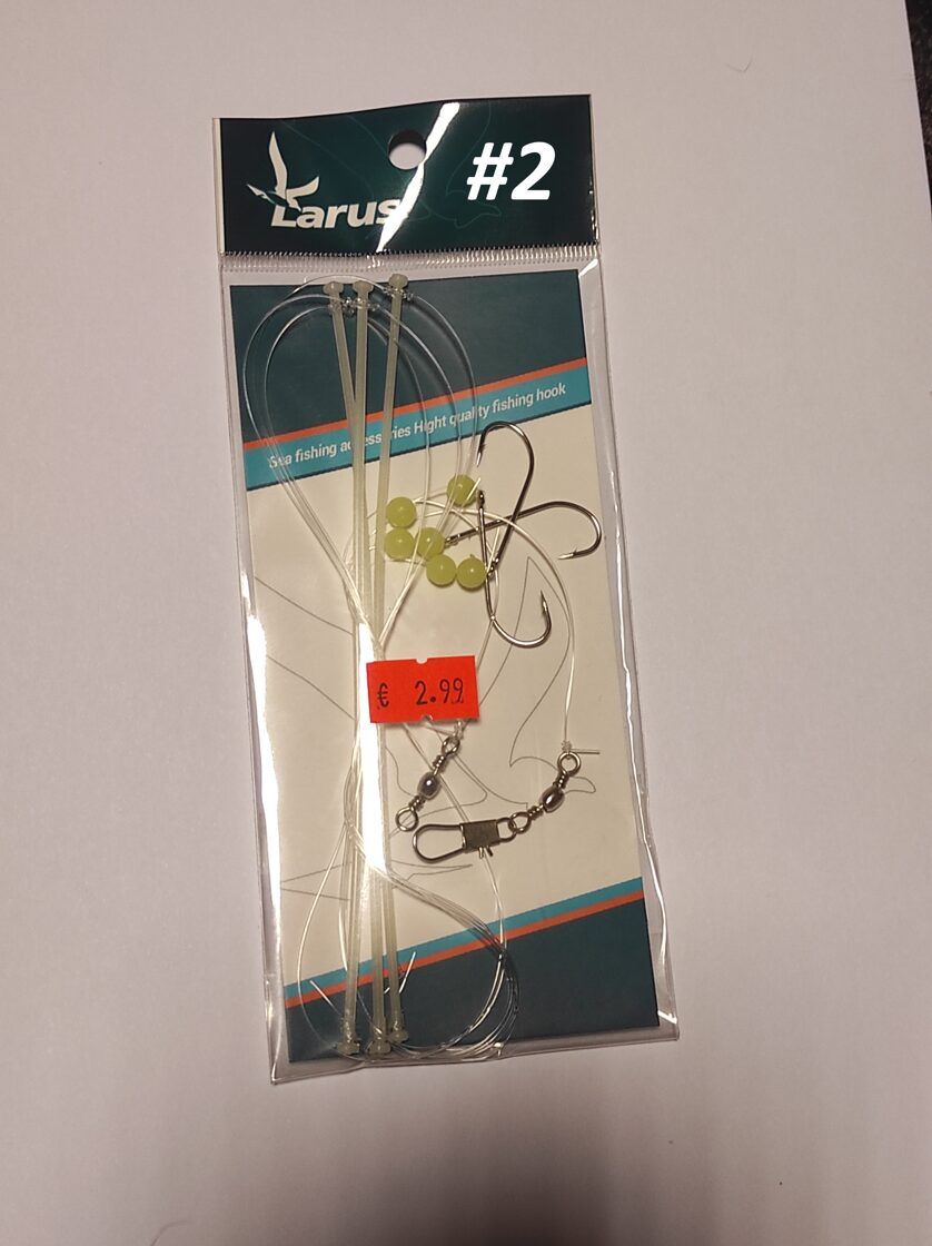 Larus lestaliste rigasüsteem