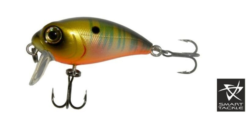 Voobler KOSADAKA «Roger SURF» 36F