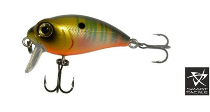 Voobler KOSADAKA «Roger SURF» 36F