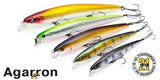 Voobleer Pontoon21 AGARRON 95F-SR