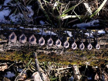 Plii Delphin CyberBARBED 