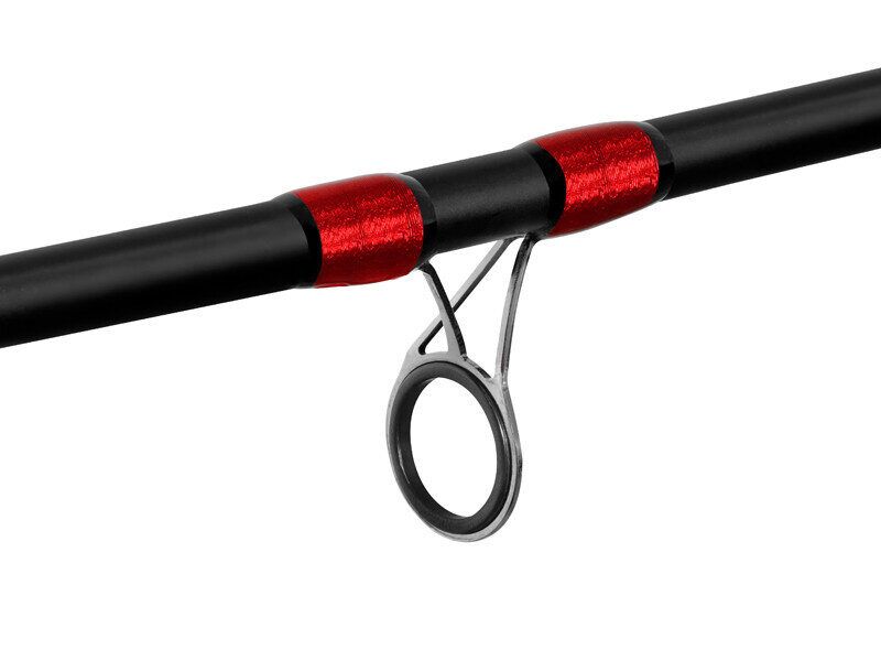 Fīderis Delphin LEEDER Feeder + 2 tips 330cm/100g
