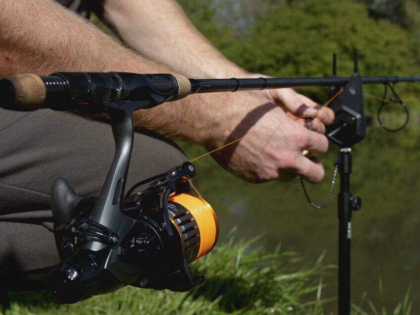 Rull Delphin BINGO 6T DP