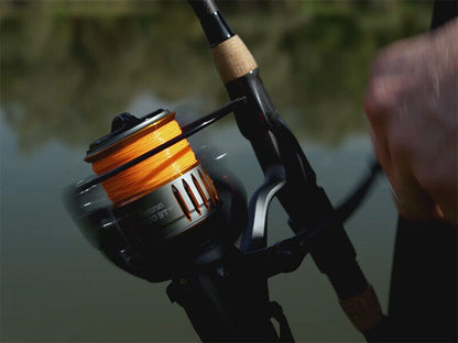 Rull Delphin BINGO 5T DP